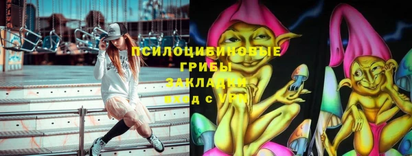 ПСИЛОЦИБИНОВЫЕ ГРИБЫ Алзамай