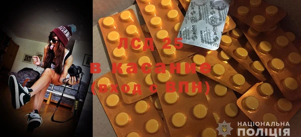 ПСИЛОЦИБИНОВЫЕ ГРИБЫ Алзамай