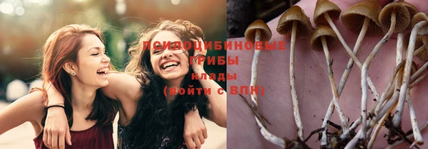 прущие крисы Алексеевка