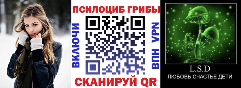 купить закладку  Боготол  Галлюциногенные грибы Cubensis 
